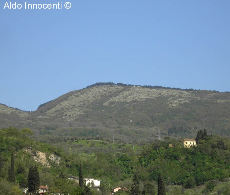 MONTE MAGGIORE DELLA CALVANA DA VAIANO